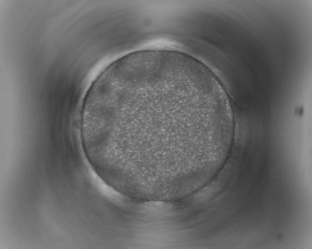 X0000111681478200908281123