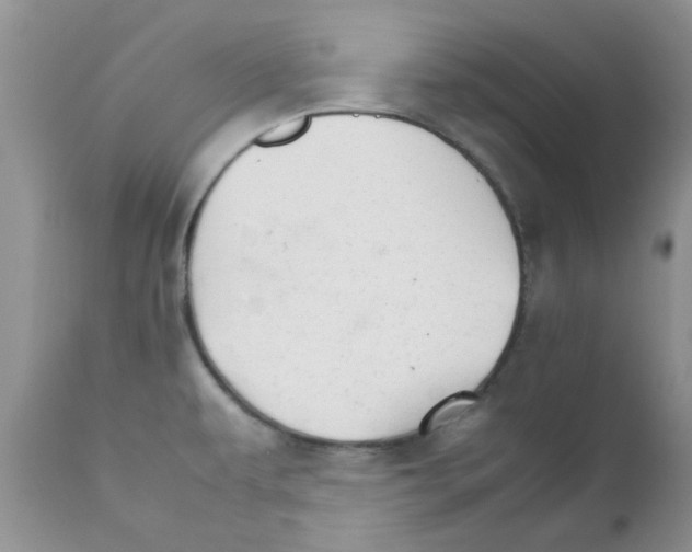 X0000111681479200908281123