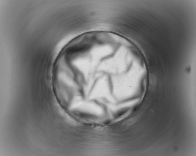 X0000111681480200908281123