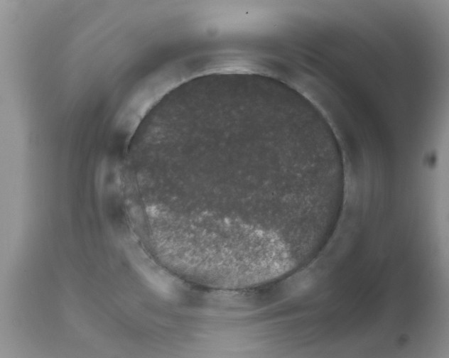 X0000111681481200908281123