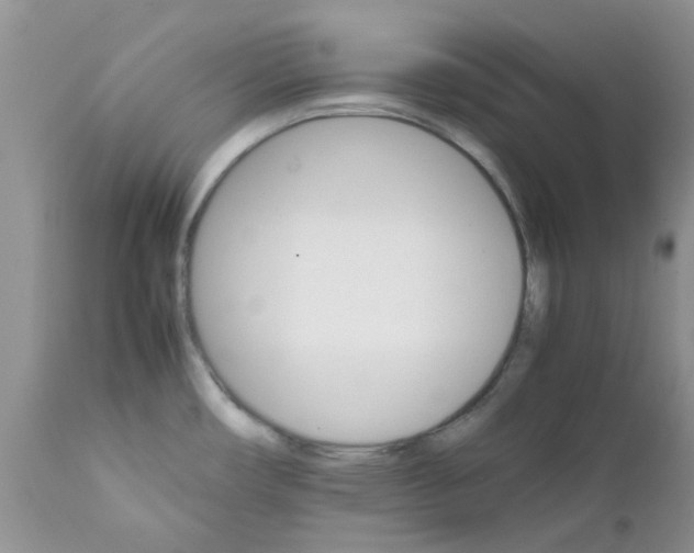 X0000111681482200908281123