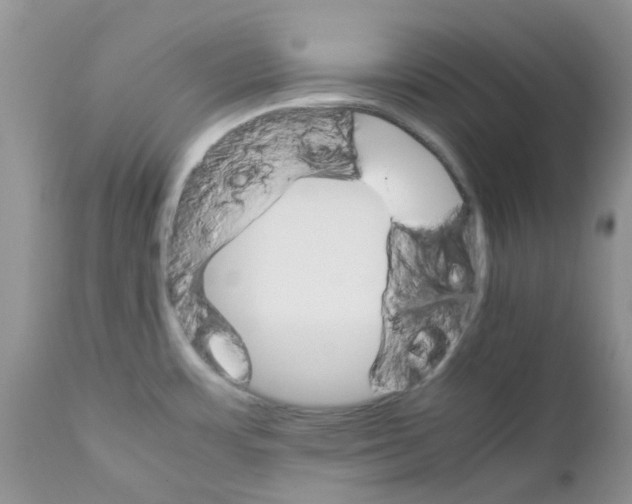 X0000111681483200908281123