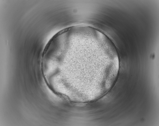 X0000111681484200908281123