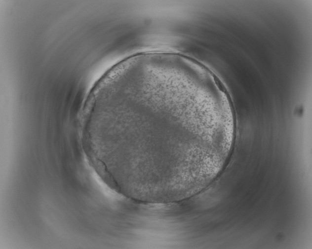 X0000111681485200908281123