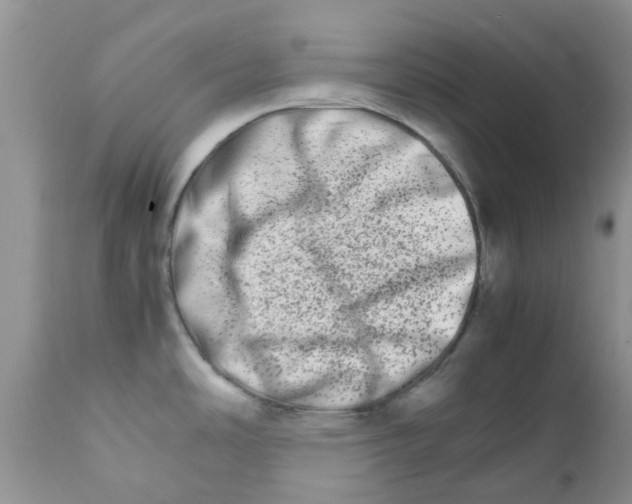 X0000111681486200908281123