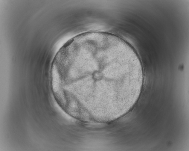 X0000111681487200908281123