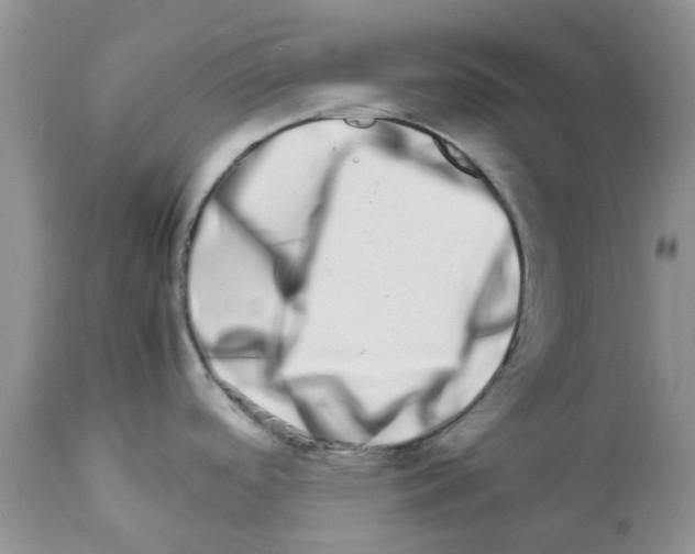 X0000111681488200908281123