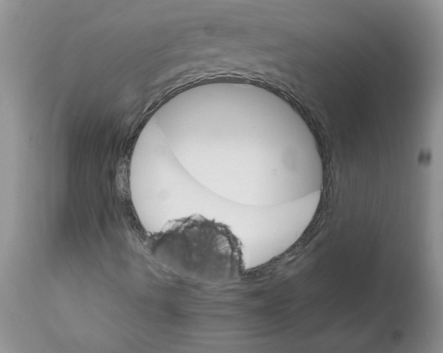 X0000111681490200908281123