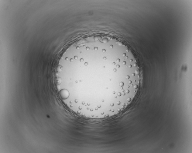 X0000111681491200908281123