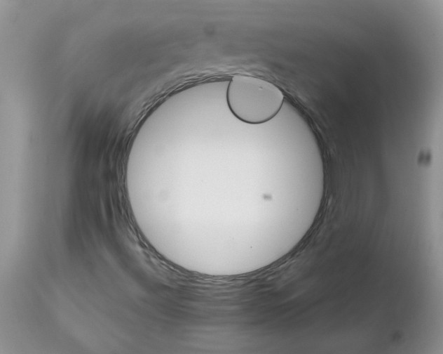 X0000111681492200908281123