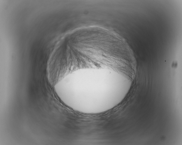 X0000111681493200908281123