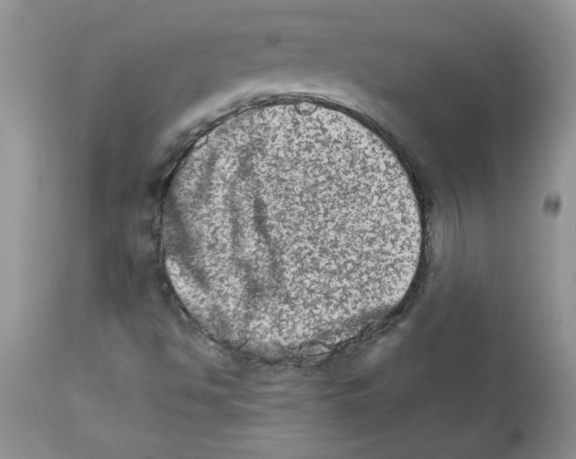 X0000111681494200908281123