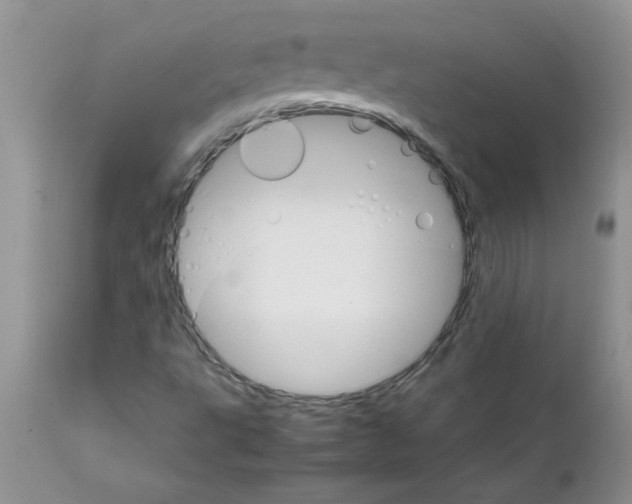 X0000111681495200908281123