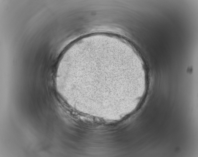 X0000111681497200908281123