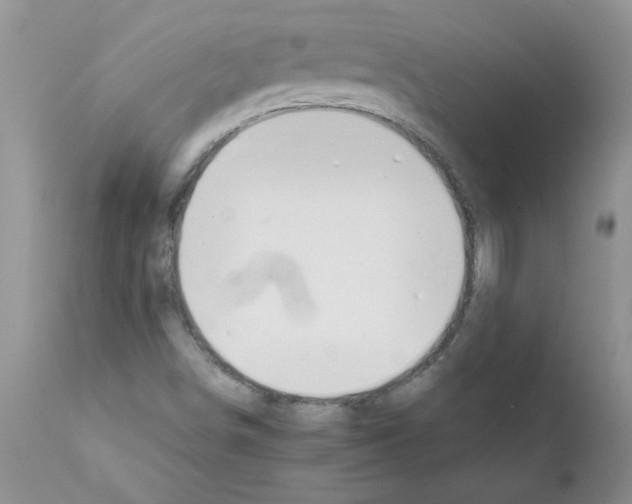 X0000111681498200908281123