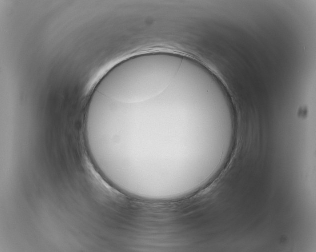 X0000111681500200908281123