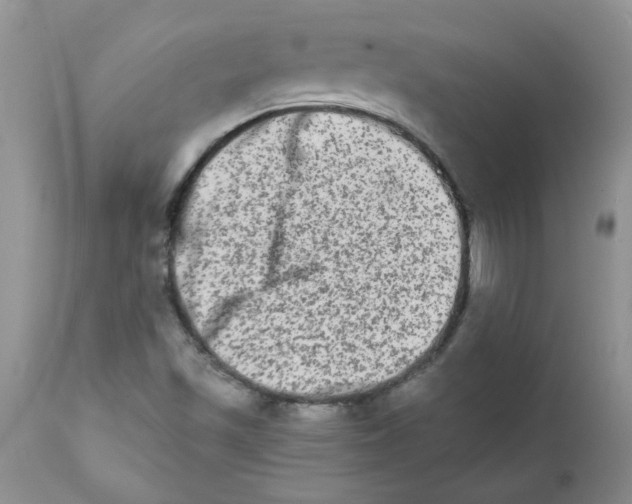 X0000111681501200908281123