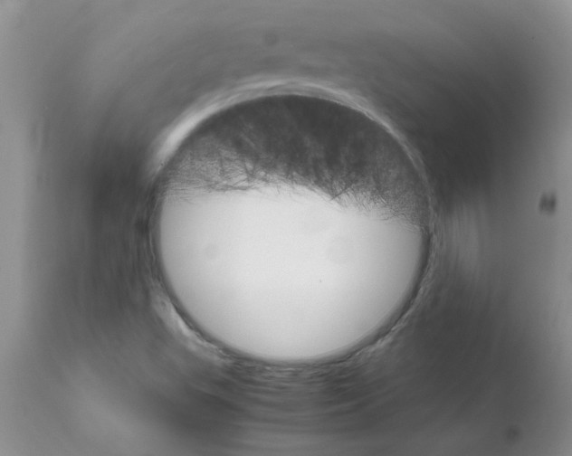 X0000111681503200908281123