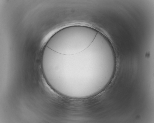 X0000111681504200908281123