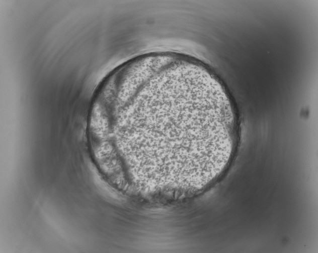 X0000111681505200908281123