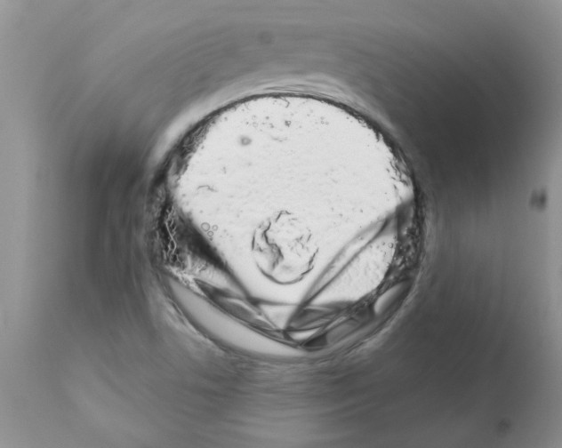 X0000111681506200908281123