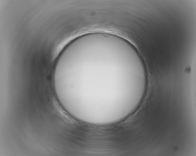 X0000111681507200908281123