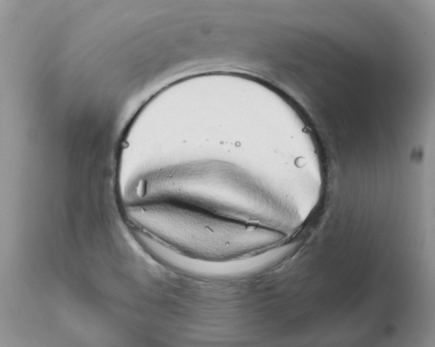 X0000111681508200908281123