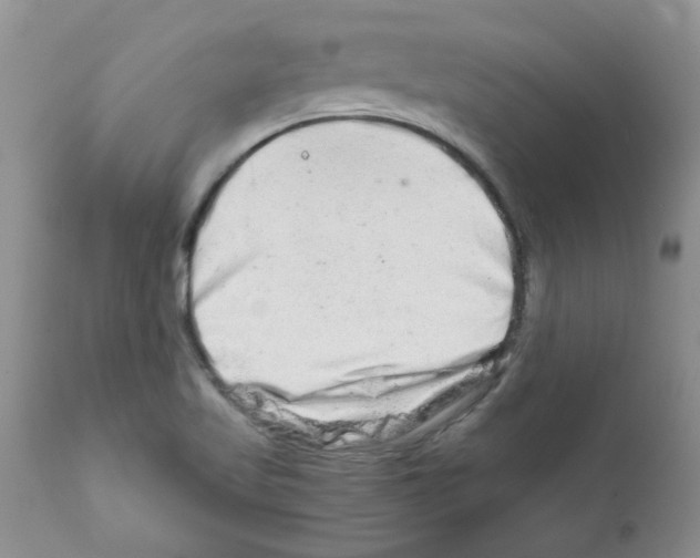 X0000111681509200908281123