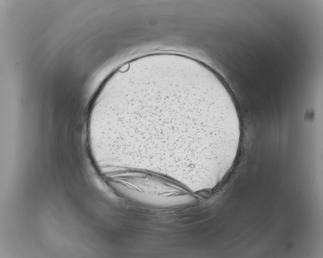 X0000111681511200908281123