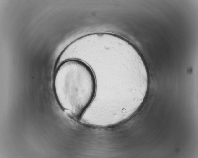 X0000111681512200908281123