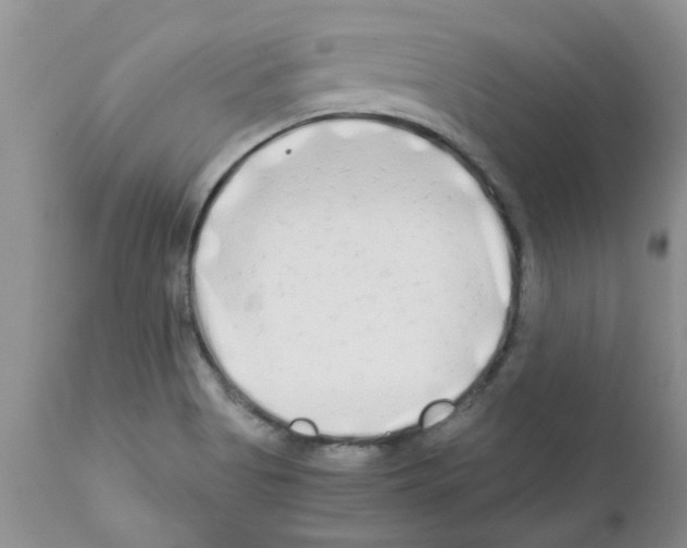 X0000111681513200908281123