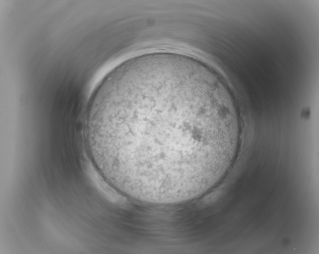 X0000111681514200908281123