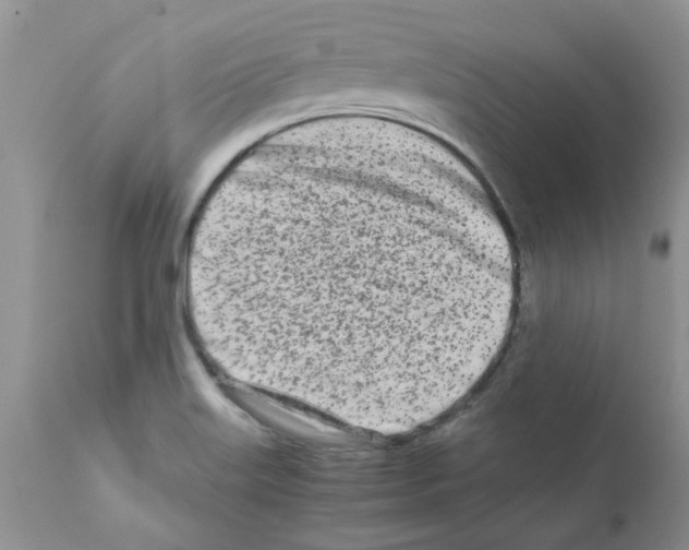 X0000111681515200908281123