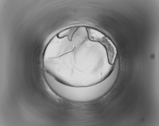 X0000111681516200908281123