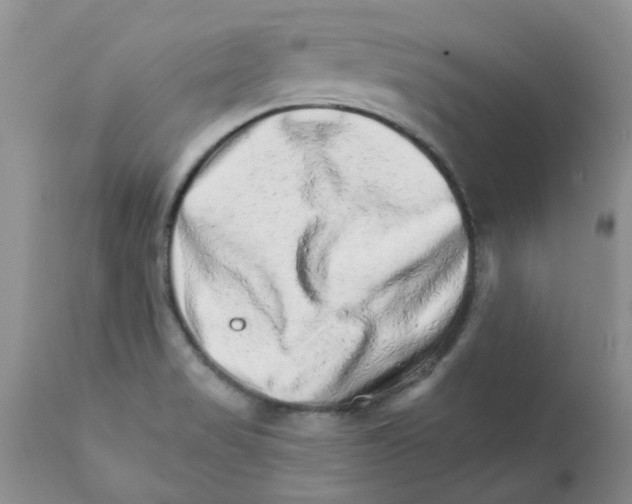 X0000111681517200908281123