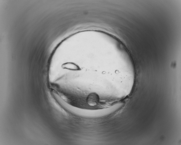 X0000111681518200908281123