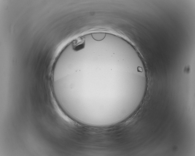 X0000111681519200908281123