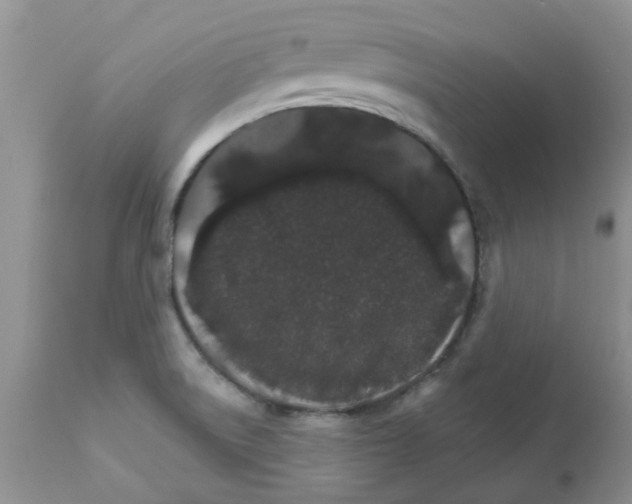 X0000111681522200908281123