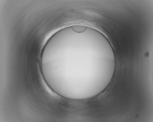 X0000111681523200908281123