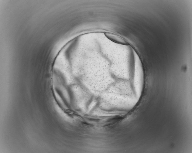 X0000111681524200908281123