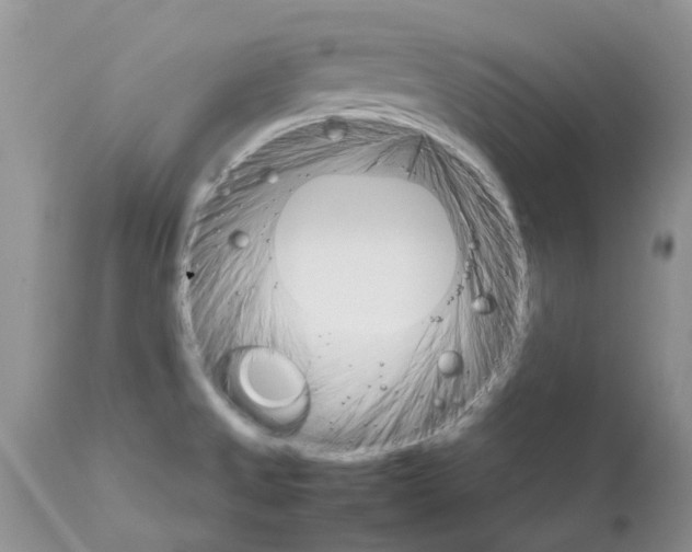 X0000111681525200908281123