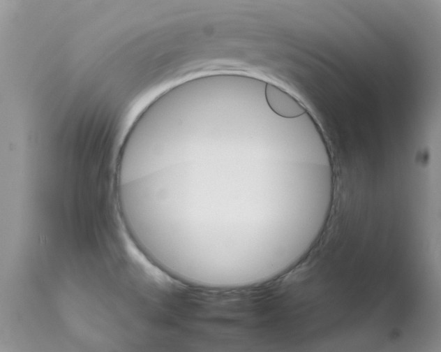 X0000111681527200908281123