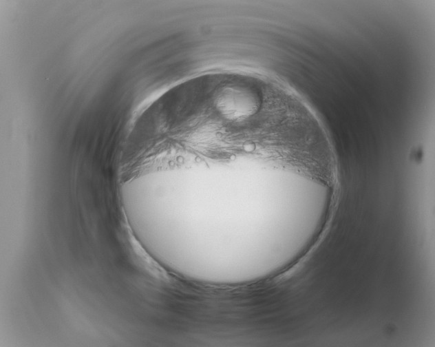 X0000111681529200908281123