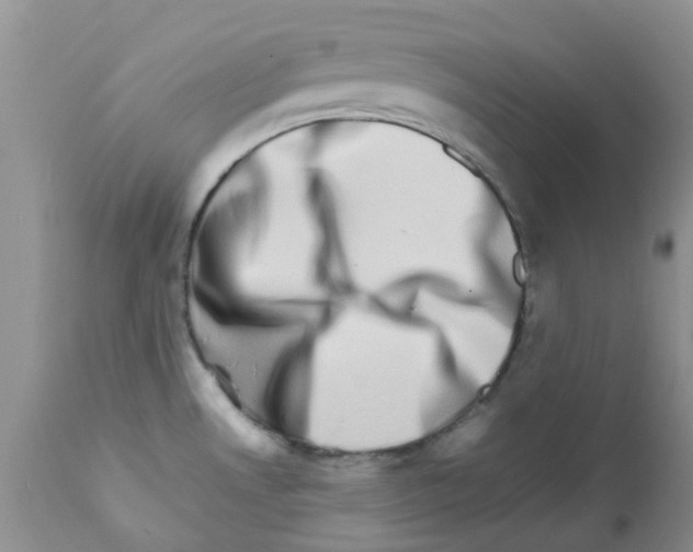 X0000111681530200908281123