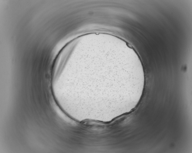 X0000111681531200908281123