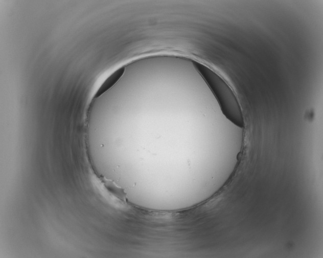 X0000111681532200908281123