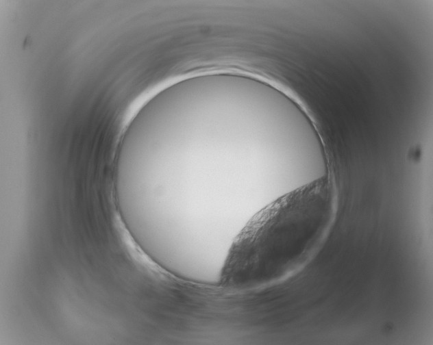 X0000111681534200908281123