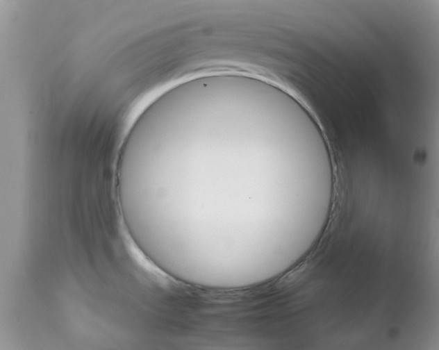 X0000111681535200908281123