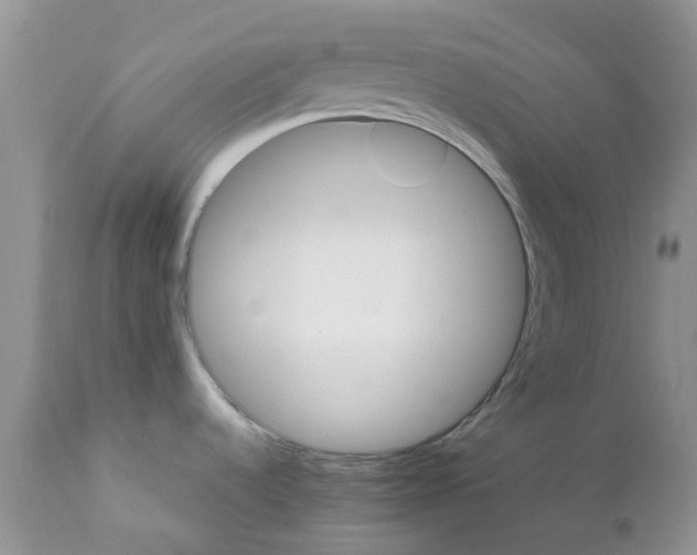 X0000111681536200908281123