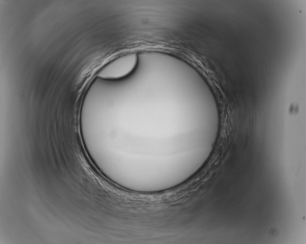 X0000111780002200907231000